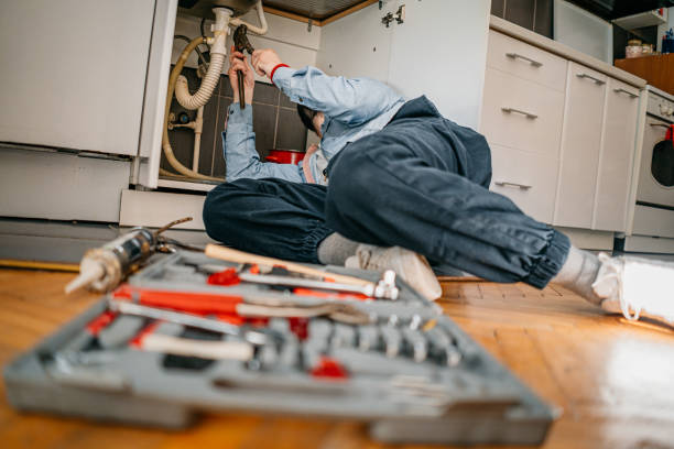 Best Plumbing Services Near Me  in Hayfield, MN