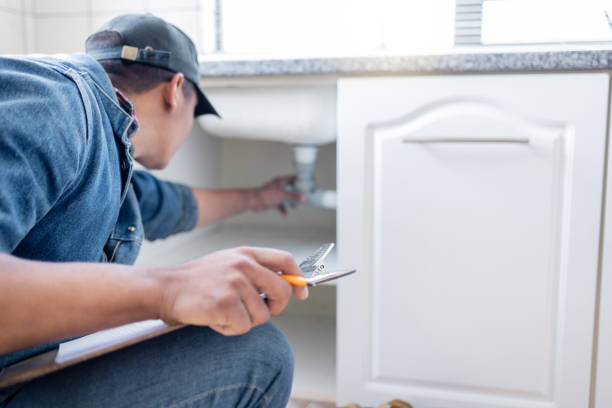 Best Water Softener Installation  in Hayfield, MN
