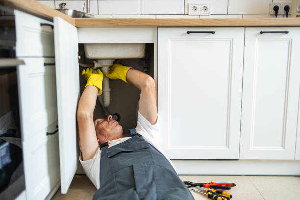 Best Septic Systems  in Hayfield, MN