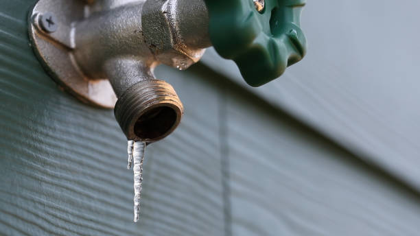Best Emergency Plumbing Repair  in Hayfield, MN
