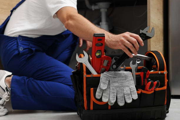 Best Commercial Plumbing Services  in Hayfield, MN