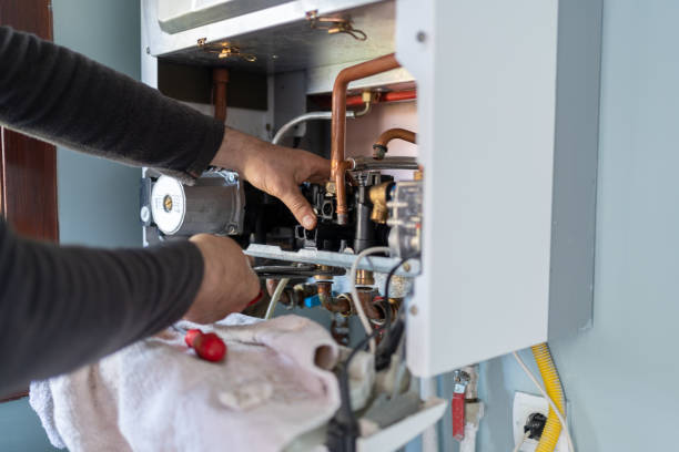 Best Emergency Plumber  in Hayfield, MN