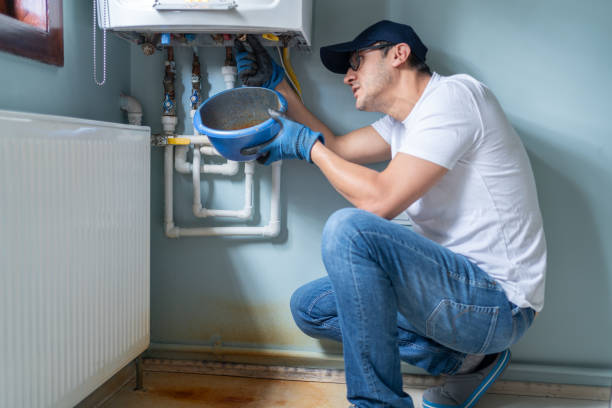 Best Same-Day Plumbing Service  in Hayfield, MN